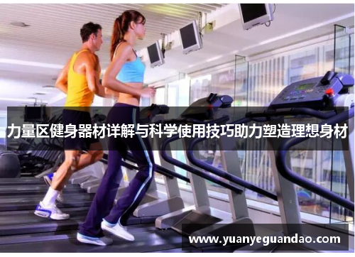 力量区健身器材详解与科学使用技巧助力塑造理想身材