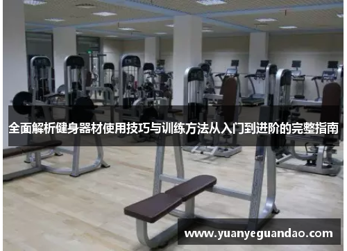 全面解析健身器材使用技巧与训练方法从入门到进阶的完整指南