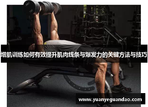 增肌训练如何有效提升肌肉线条与爆发力的关键方法与技巧